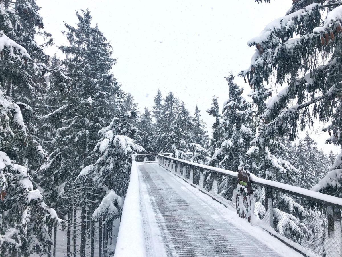Apartmány Doky - PLA Lipno nad Vltavou Exterior foto