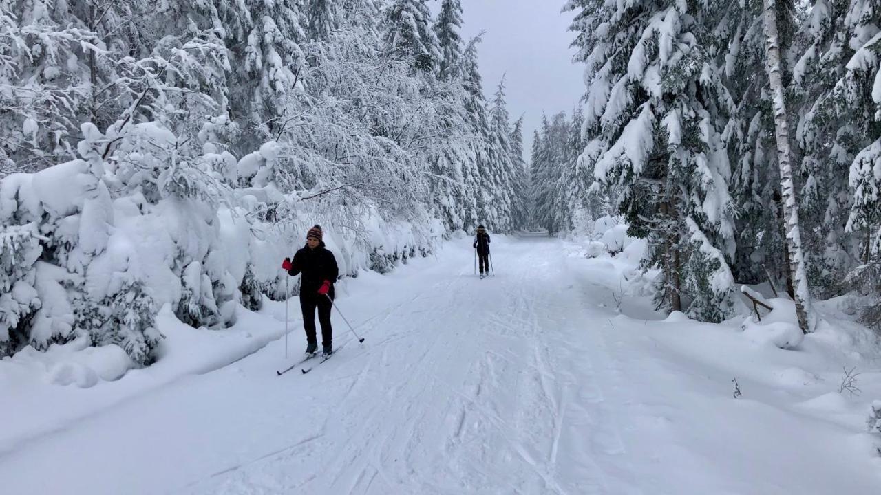 Apartmány Doky - PLA Lipno nad Vltavou Exterior foto